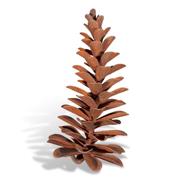Pine