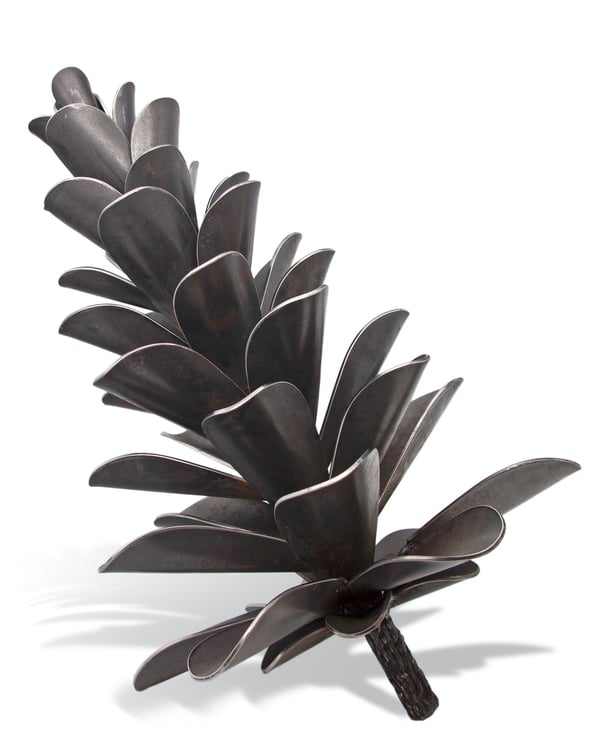 Pine