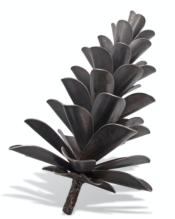 Pine