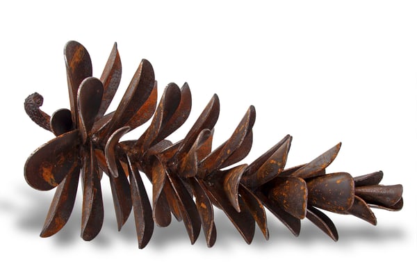 Pine