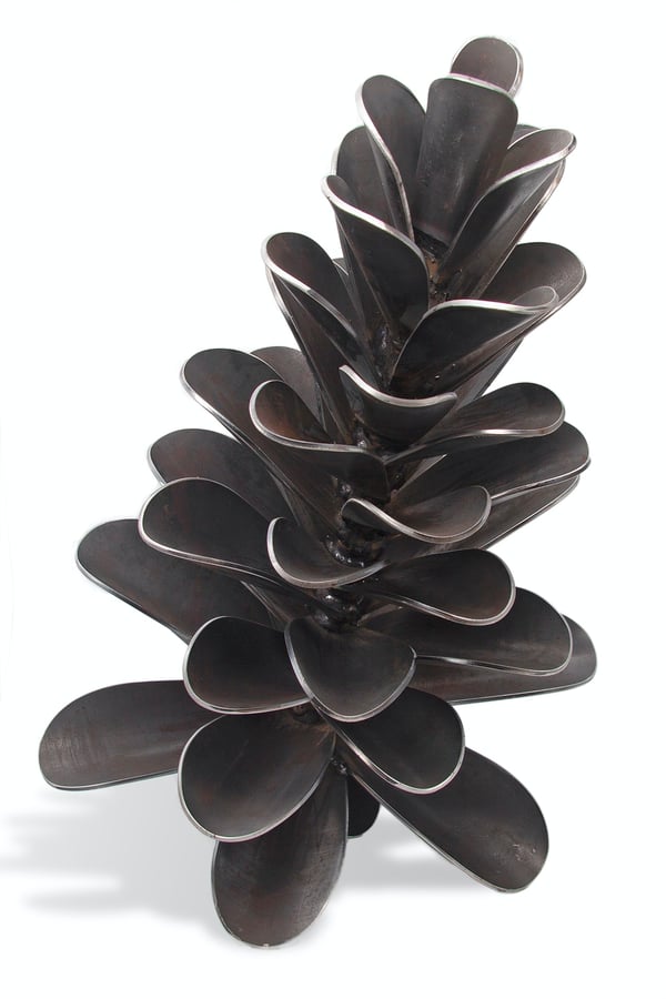 Pine