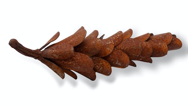 Pine