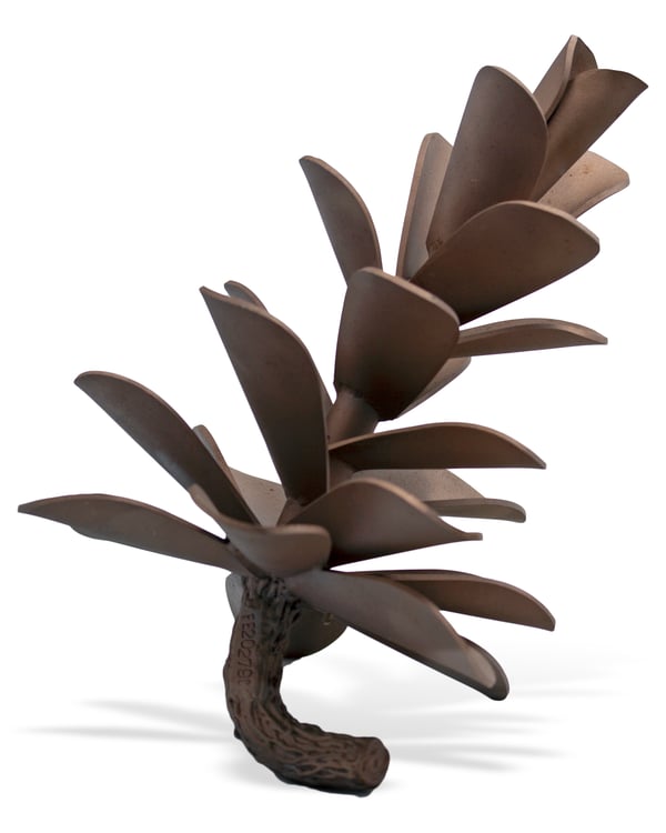 Pine