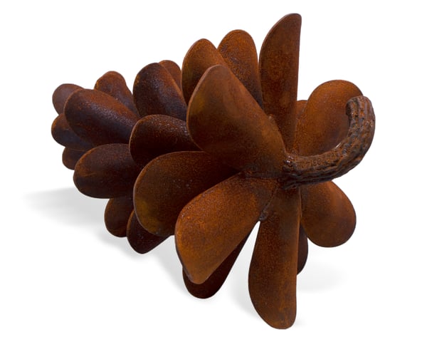 Pine