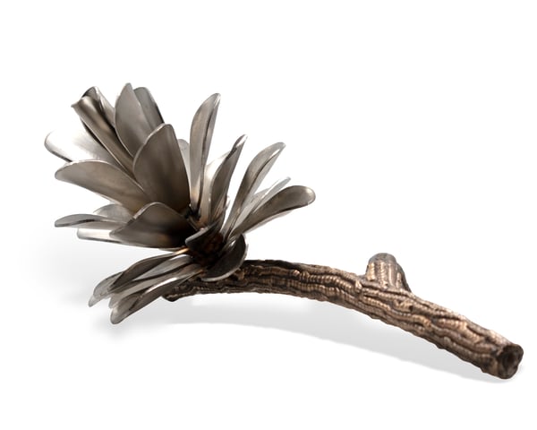 Pine