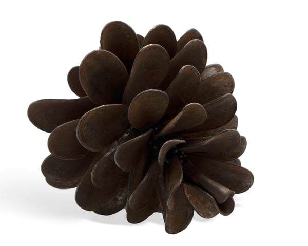 Pine