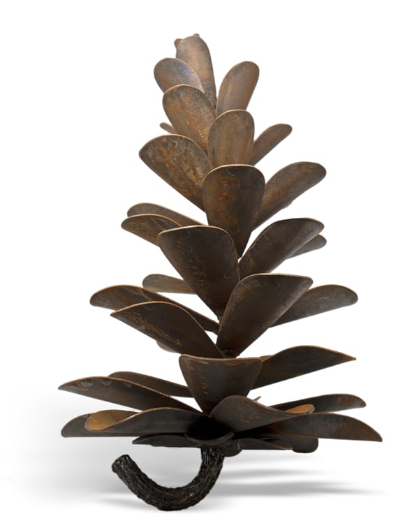 Pine