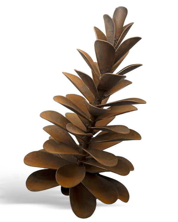 Pine