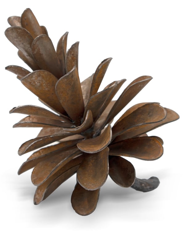 Pine