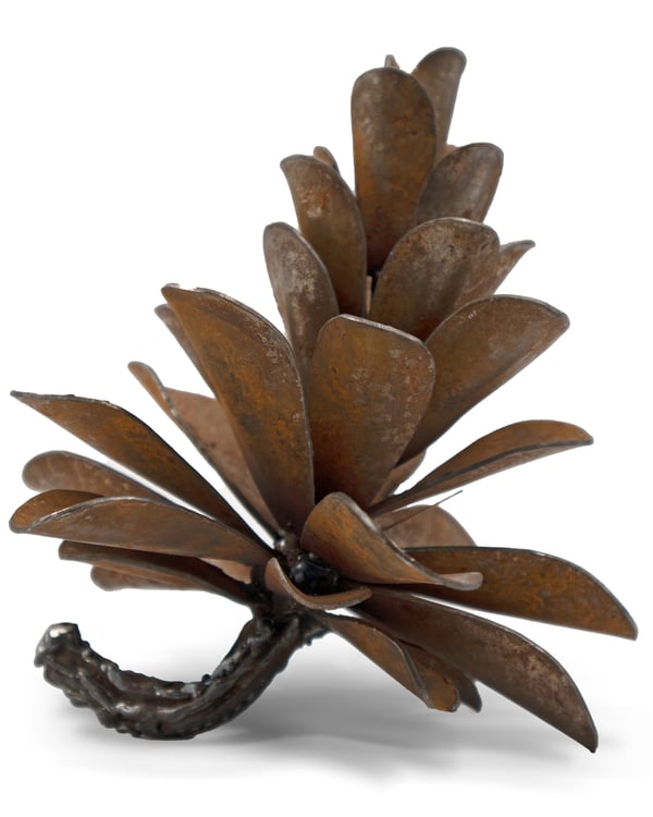 Pine