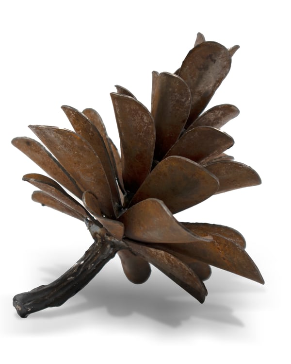 Pine