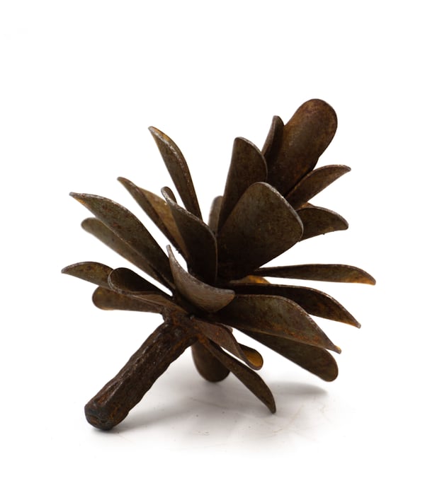 Pinecone