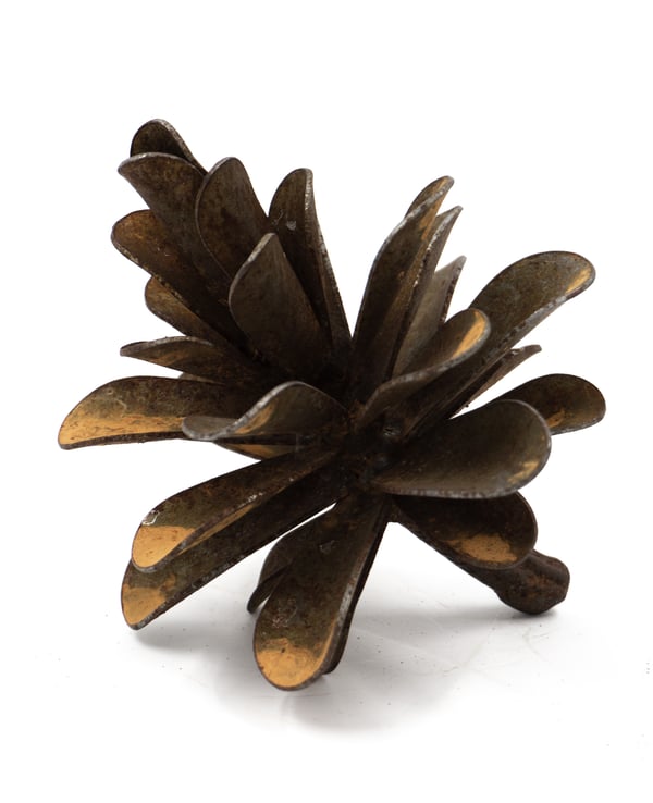 Pinecone