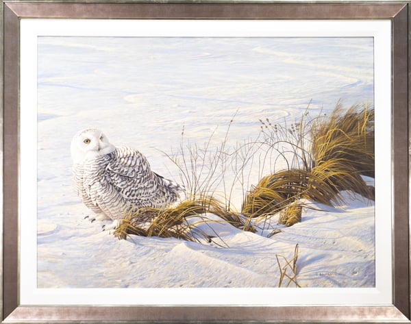 Snowy