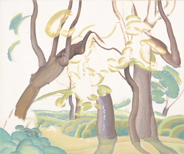Trees