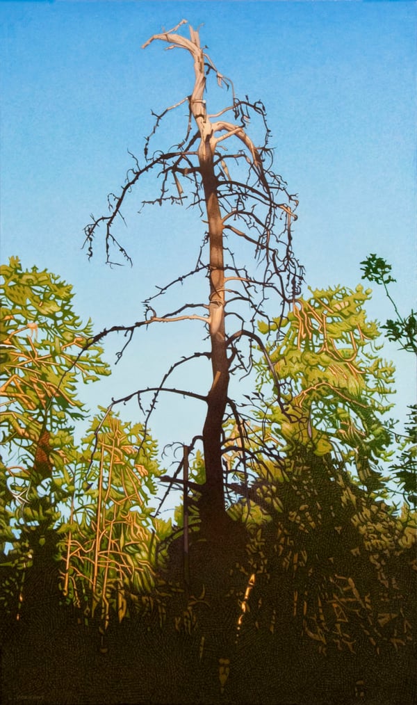 Sentinel-