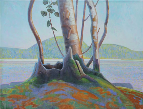Birches