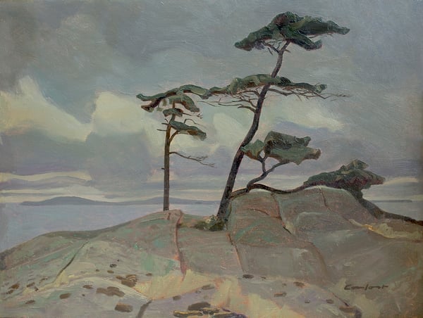 Pines,