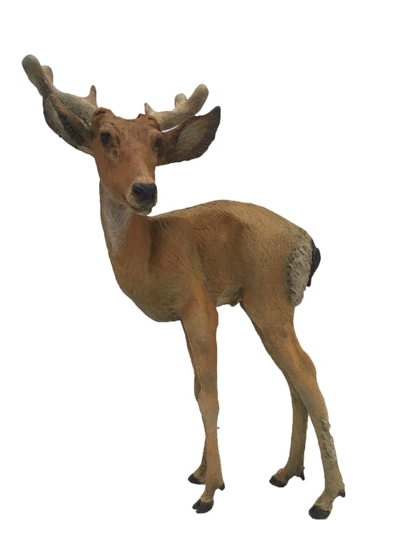 Yearling