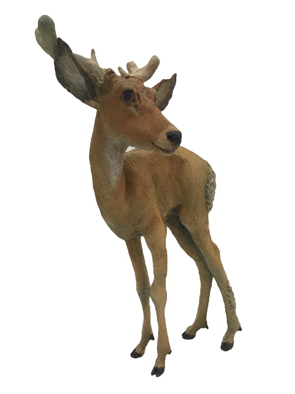 Yearling