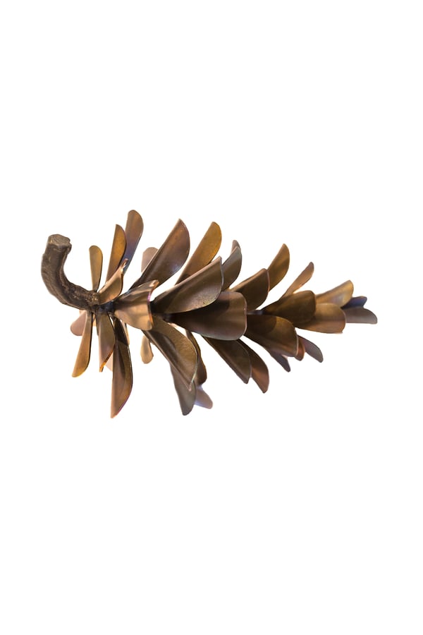 Pine
