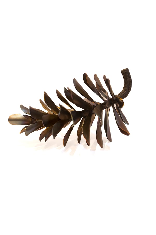 Pine