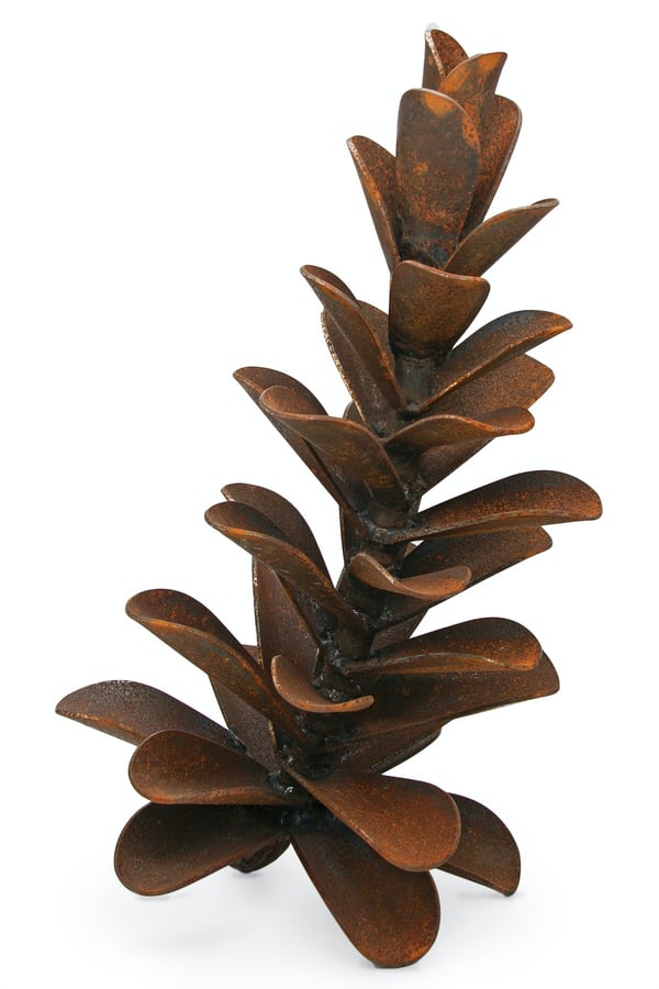 Pine