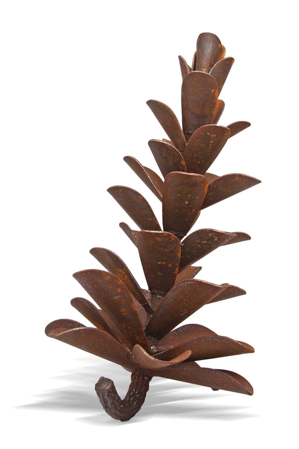 Pine