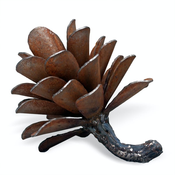 Pine