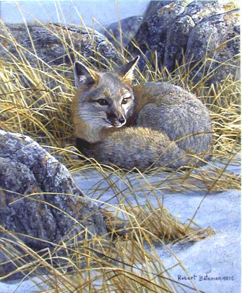 Kit