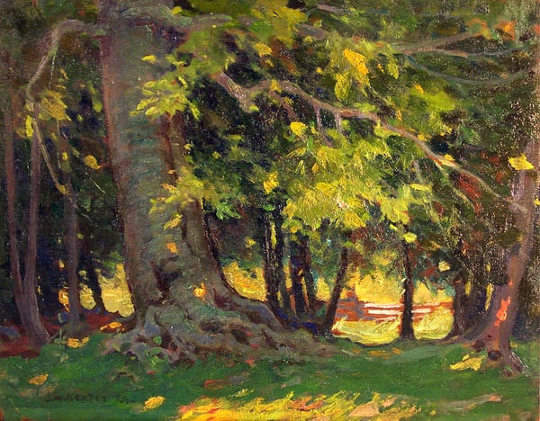 Forest