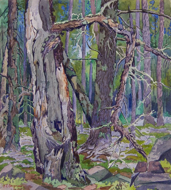 Whiteshell