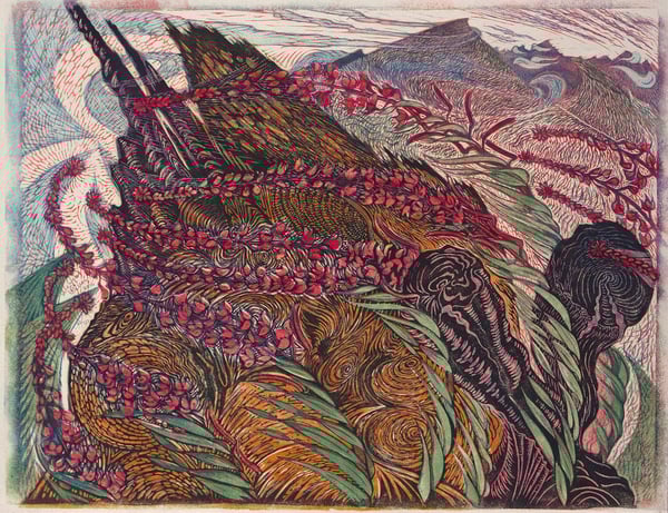 Fireweed
