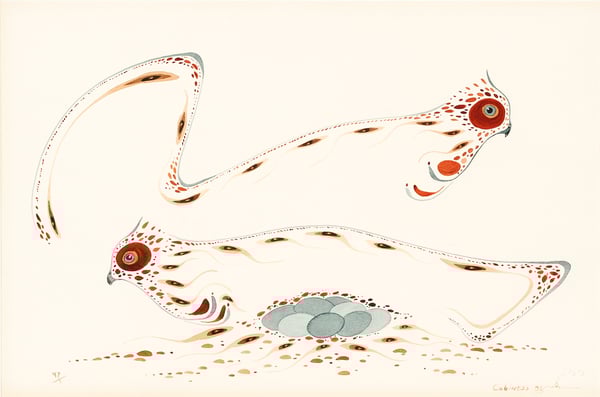 Grouse
