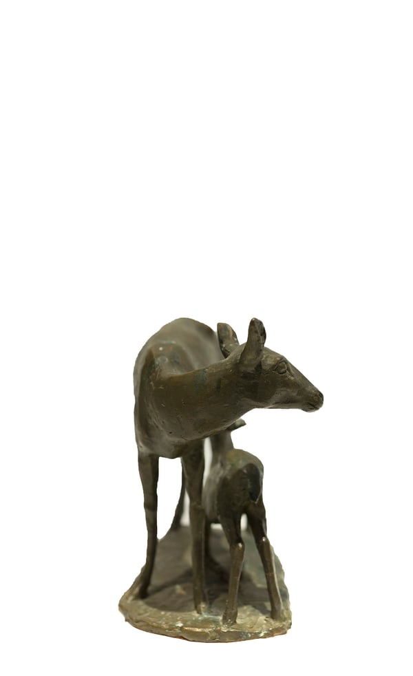 Deer