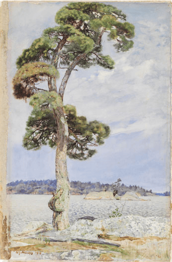 Lake