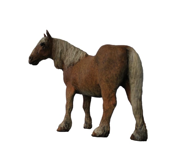 Sokolsky