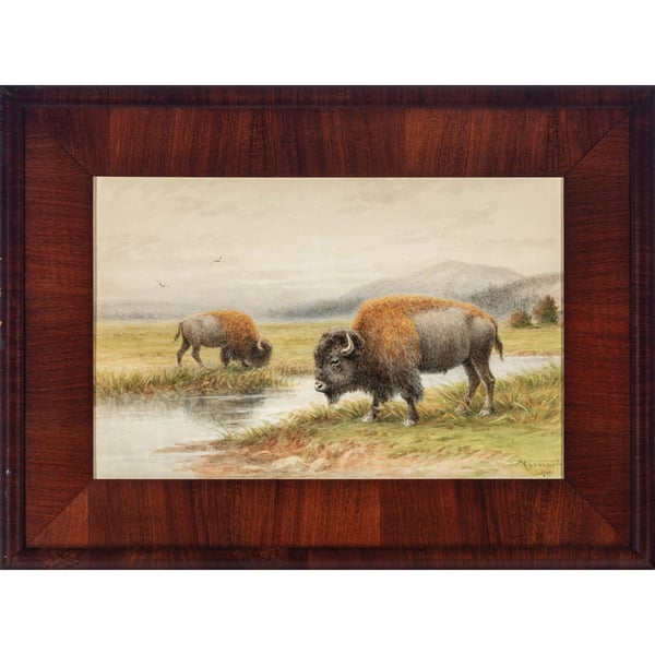 Buffalo