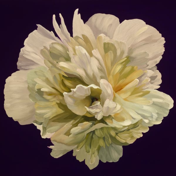 Peony