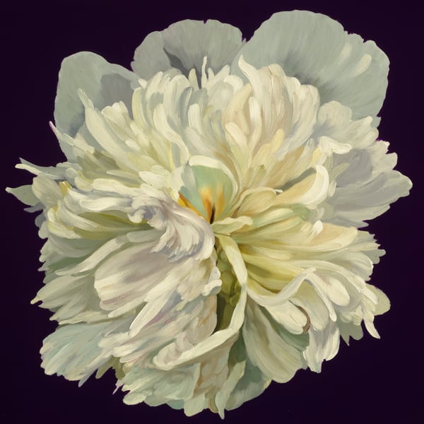 Peony
