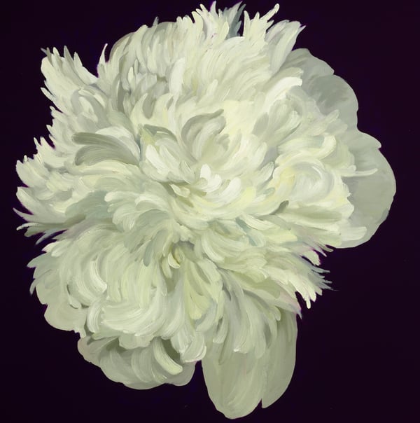 Peony