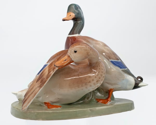 Mallard