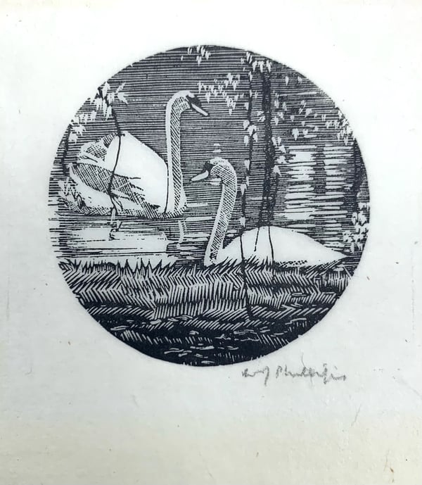 Swans