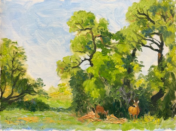 Creekside