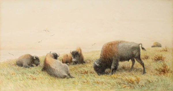 Grazing