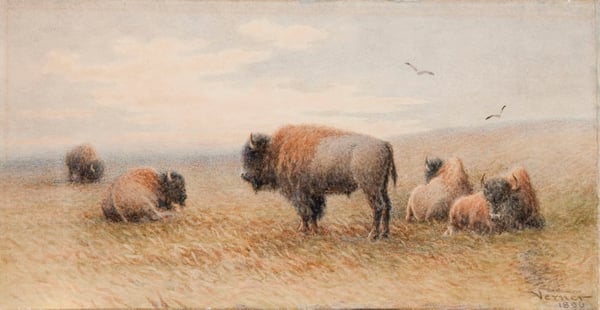 Plains