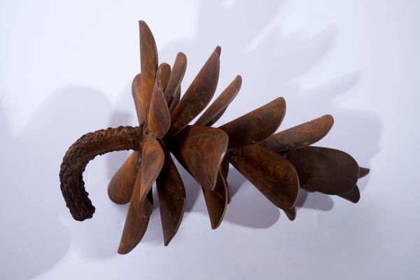 Pinecone