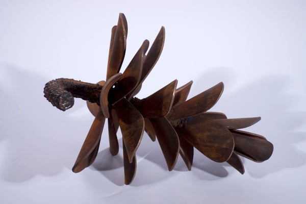 Pinecone