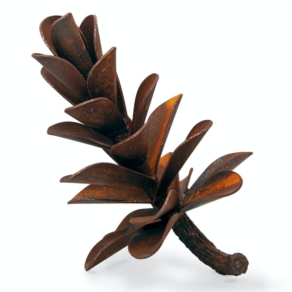 Pine