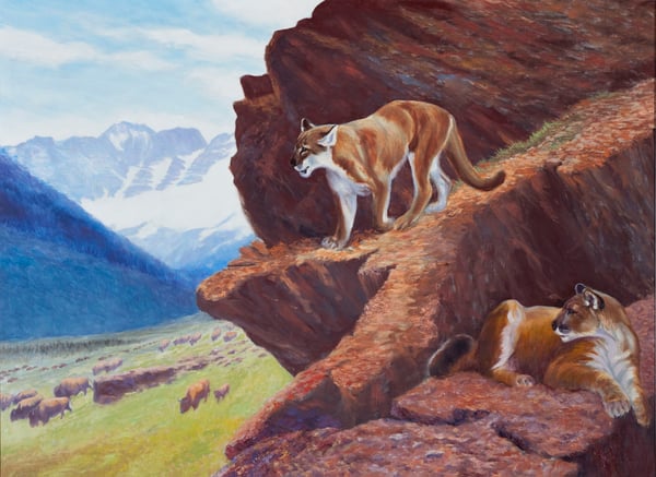 Cougars